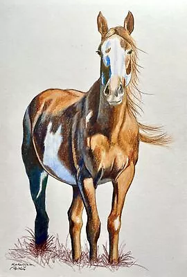 Original Drawing Art Pencil Colorful Sketch Wild Horse Mustang Portrait 8”x10  • £33.20