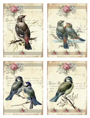 Vintage Image Pink Roses Bird Labels Furniture Transfer Waterslide Decals BIR854 • $12.99