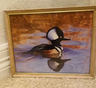 Duck Picture 8 X 10 Wildlife Home Man-She Cave Decor • $9