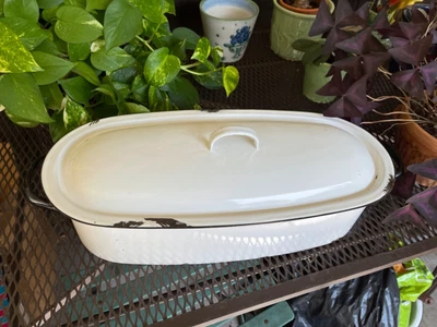 $45.99 • Buy Antique White Enamel Fish Poacher