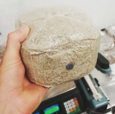 PF Tek - IN A BAG! - Brown Rice Flour & Vermiculite Sterile Mushroom Substrate • £9