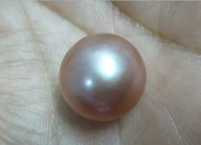 $20 • Buy 10mm Natural South Sea Genuine Pink Lavender Loose Pearl Undrilled
