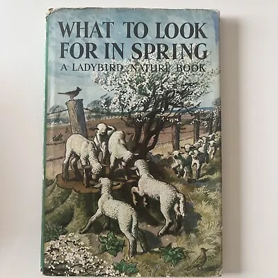 Ladybird Book - What To Look For In Spring - Series 536 - Free Uk Postage!! • £6