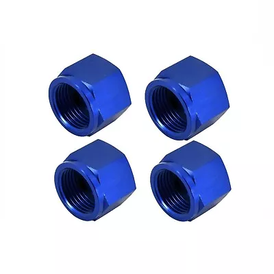 4Pcs -10AN AN10 Female AN Flare Fitting Cap Block Off Nut Aluminum Blue • $12.55