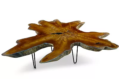 £139.61 • Buy Coffee Table Solid Wood To 150 CM Tree Pane Living Room Table Wooden Table Root