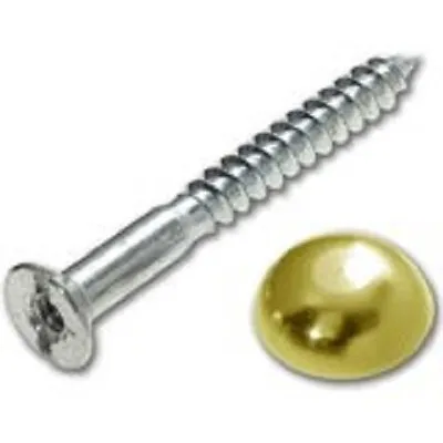 £2.30 • Buy MIRROR SCREWS Dome Caps Covers Choose Finish Brass/Chrome & Size/Length Fixing