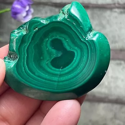 Malachite Slab / Slice  Polished Gemstone Mineral Specimen Congo   21g  F29 • $14.95