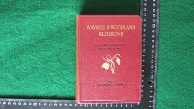 £9.99 • Buy Wayside And Woodland Blossoms : A Guide To British Wild Flowers
