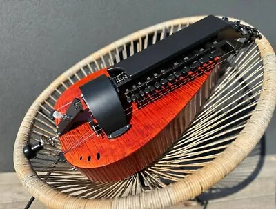 Hurdy Gurdy Model With Trompette / Gurdy With Buzzing Bridge / Gurdy With Dog • $1655.40