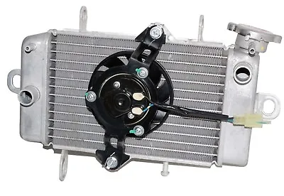 NOS Radiator Assembly With Fan Fits Yamaha YZF R15 Version 1 V1 Models GEc • $113.37