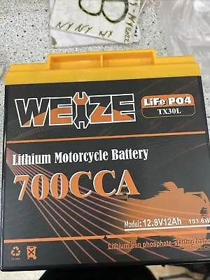 Weize R Lithium LiFePO4 Battery Replaces YTX30L-BS Harley Davidson Sportsman • $110