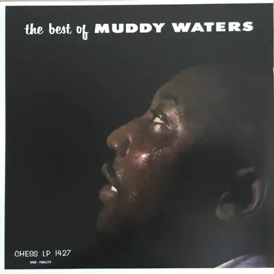 Muddy Waters - The Best Of Muddy Waters - Original Chess LP • $272.99