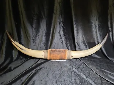 Bull Horns Cow Horns Steer Longhorn 35in Mounted No Bracket • $99.99