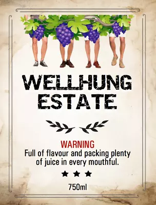£2.95 • Buy Humorous Funny Wine Champagne Bottle Sticky Labels Sticker Birthday Party Gifts