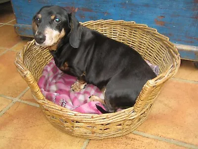 £35 • Buy Vintage Quality Handmade Wicker Woven Pet Bed Basket For Cats Or Small Dogs