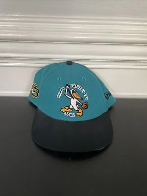 VTG 2002 Myrtle Beach Pelicans Limited Fathers Day Edition New Era SnapBack Hat • $32.50