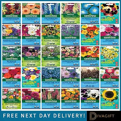 Unwins Garden Flower Seeds Grow Your Own Colourful Flowers Seed New • £3.99