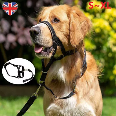 Halti Head Collar Dog Training Obedience Stop Pulling On Lead No Pull Solution • £7.59