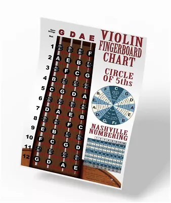 Violin Fiddle Fingerboard Notes Instructional Poster Wall Chart Theory • $11.99