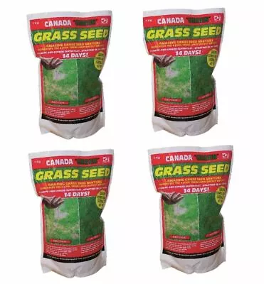 £79.99 • Buy 4kg Of Genuine Original Canada Green Grass Seed Fast Growing 2000sq Ft Free P&p