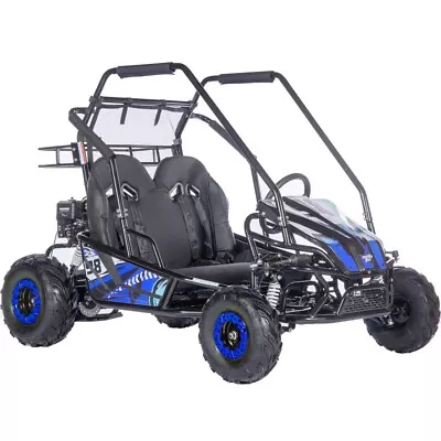 MotoTec Mud Monster XL 212cc 2 Seat Go Kart Full Suspension Blue • $1999