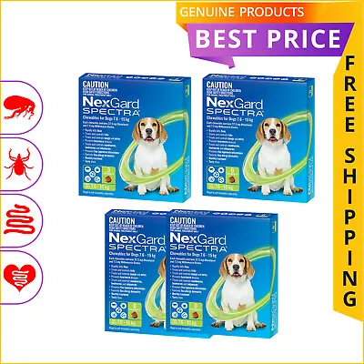 NEXGARD SPECTRA 3612 Doses Heartworm Flea Treatment For Dog 7.6 To 15 Kg GREEN • $93.94