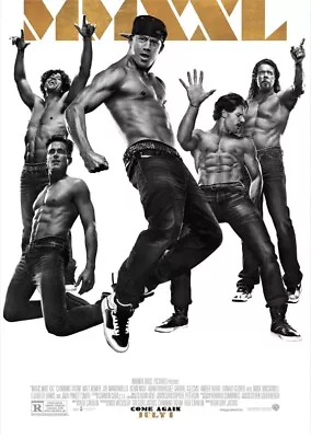 Magic Mike XXL (DVD 2015) DISC ONLY • $2.75
