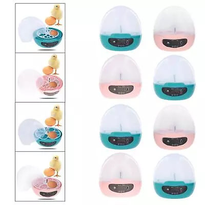 Household Mini Egg Incubator For Kids Clear Hatcher Machine Duck Bird • £20.29