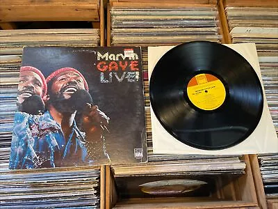 MARVIN GAYE  Live  1974 (TAMLA/T6-333S1) VG+ • $21.50