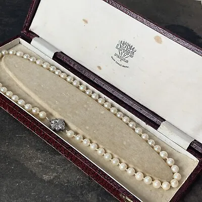 Vintage Lotus Pearl Cultured Pearl Necklace Silver Clasp In Original Antique Box • £220