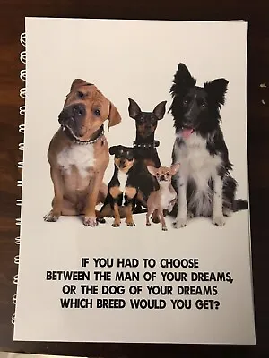 $14.95 • Buy 2022-2023 Financial Year Diary Choose Dog Of Your Dreams Quote A5 WEEK TO VIEW