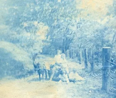 QT143 Original Vintage Photo CYANOTYPE GOAT CART CHILDREN DOG C Early 1900's • $5.50