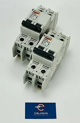 (LOT OF 2) Merlin Gerin Multi9 C60N 10A-type D Circuit Breaker 240Vac *WARRANTY* • $24.95