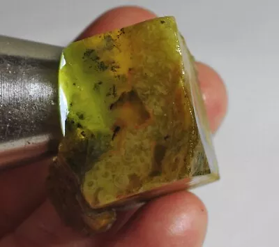 120Ct Natural Mexican Yellow Fire Moss Opal Facet Rough Specimen YYC543 • £1.58