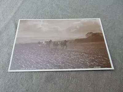 Antique Real Photo Postcard  Farmer Ploughing  The Field With Horses - Unused #A • £5.99