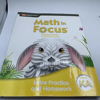 Grade K Math In Focus Extra Practice Homework Volume A KA Kindergarten Singapore • $9.95