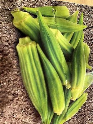 Green Okra - Bindi Ladies Finger Turkish Pakistani Vegetable - 12 Seeds • £0.99