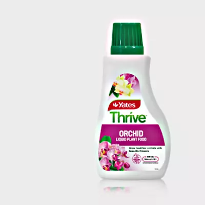 $15 • Buy Yates Thrive Orchid Liquid Plant Food 500ml