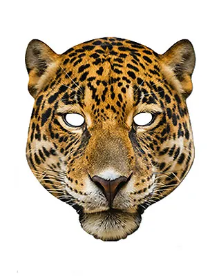 Leopard Animal 2D Card Party Face Mask Fancy Dress Up Zoo Safari Theme • $10.16