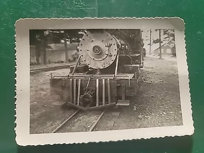 Original Photo Edaville Railroad • $10