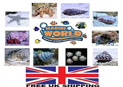 Mixture Of 15 Items CUC For Marine Aquariums... Shop Choice Of Crabs Snails  • £72.99