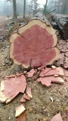$50 • Buy Unique Cut Red Cedar Live Edge Wood  For Diy Project.. Limited Amt Of Trees