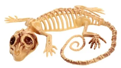 Plastic Skeleton Lizard 6x5.5x.5 Inches Halloween Decor/Prop Party Decoration • $7.49