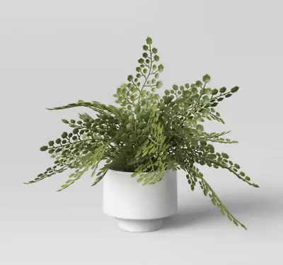 Small Fern In Modern Pot Maiden Hair Arrangement - Threshold • $22.39