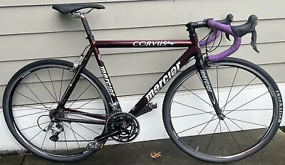 2013 Mercier Corvus Road Bike • $375