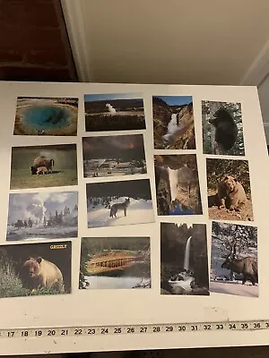 Vintage Yellowstone National Park Post Card Lot (14) Montana • $12.99