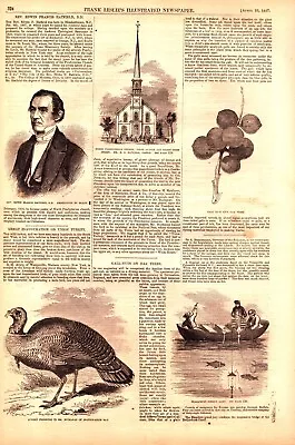 PRESIDENT BUCHANAN TURKEY FISH LAMP GALL NUTS Antique Engraving 1857 • £20.27