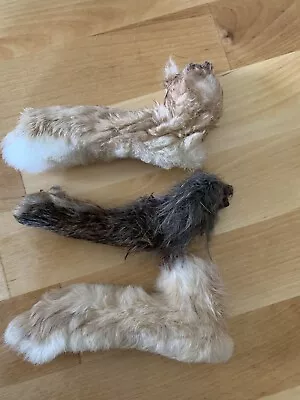 Rabbit Foot Dog Treat • $17.99