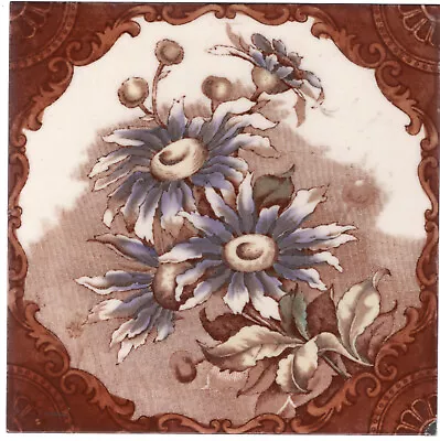 T. & R. Boote & Co - C1886 - Blue Asters Floral - Antique  Victorian Tile • $30