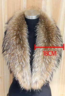 X-Large Natural Winter Dress Women's Genuine Real Raccoon Fur Collar Scarf • $50.38